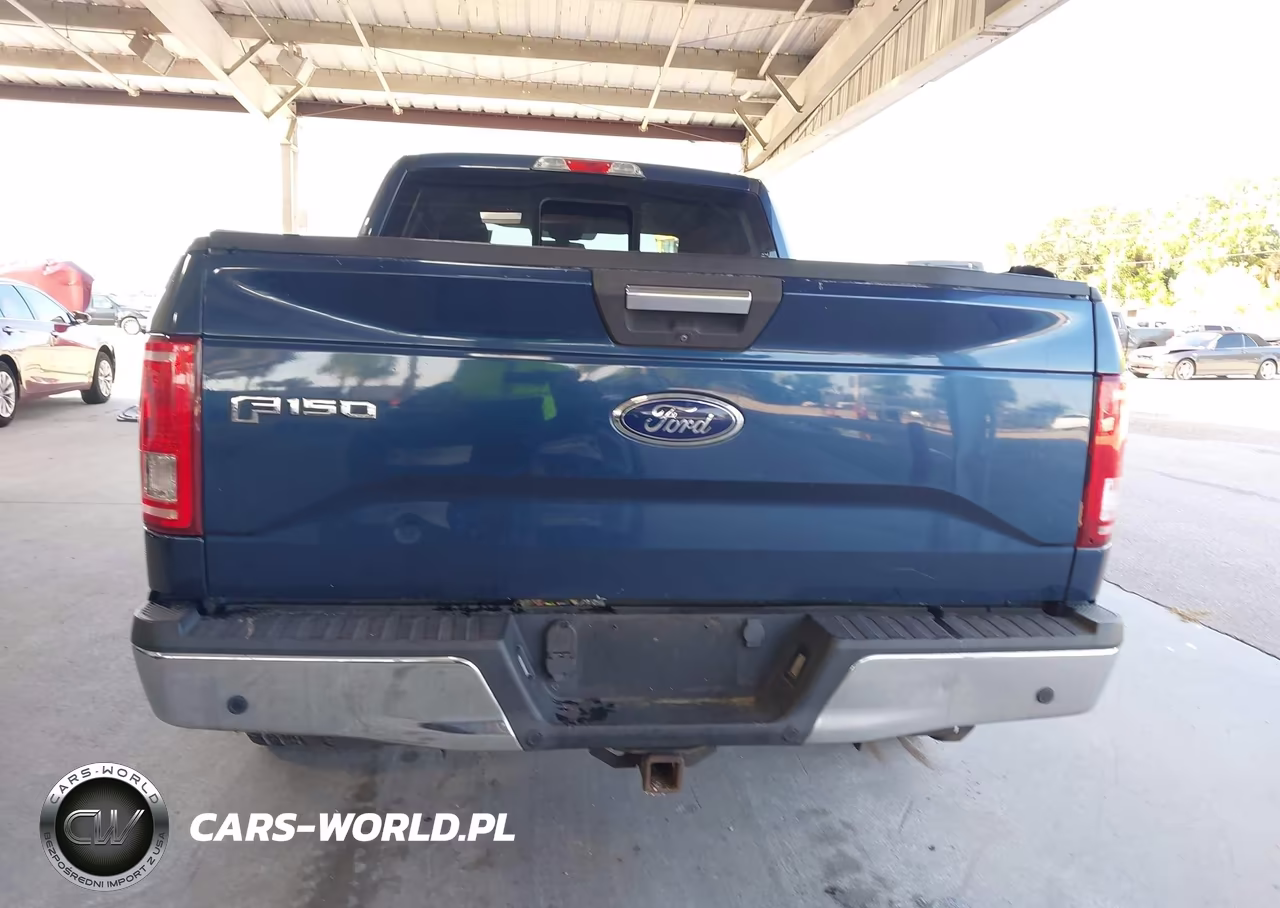 2016 Ford F-150 Xlt VIN:1FTEX1CPXGKF41605 - 17