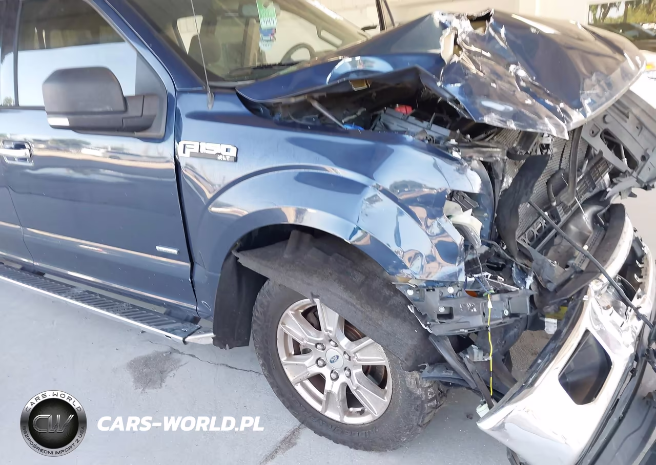 2016 Ford F-150 Xlt VIN:1FTEX1CPXGKF41605 - 19