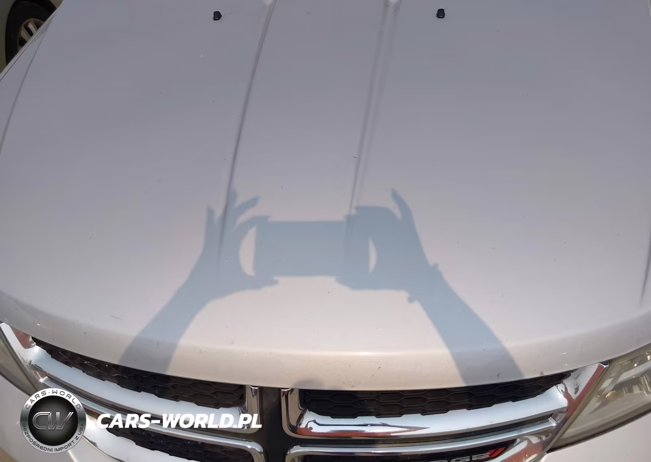 2012 Dodge Journey Sxt VIN:3C4PDDBG2CT369633 - 10