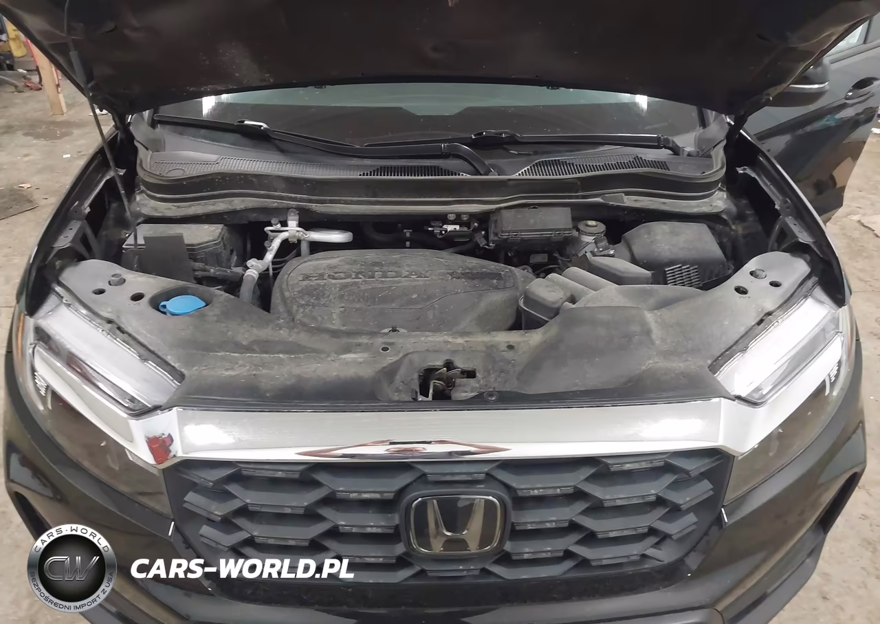 2024 Honda Passport Awd Ex-L VIN:5FNYF8H5XRB014373 - 10