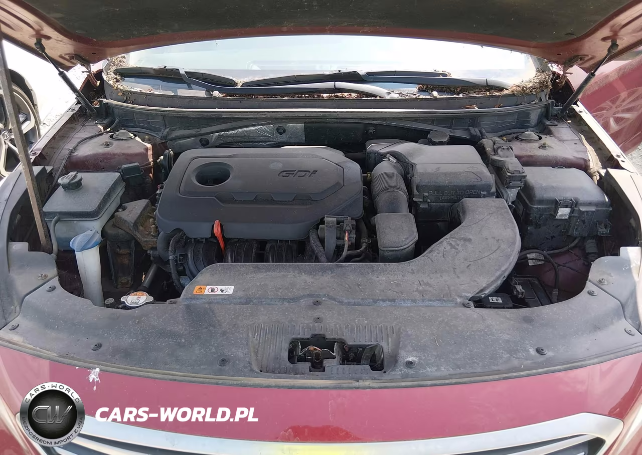 2016 Hyundai Sonata Se VIN:5NPE24AF3GH286627 - 10