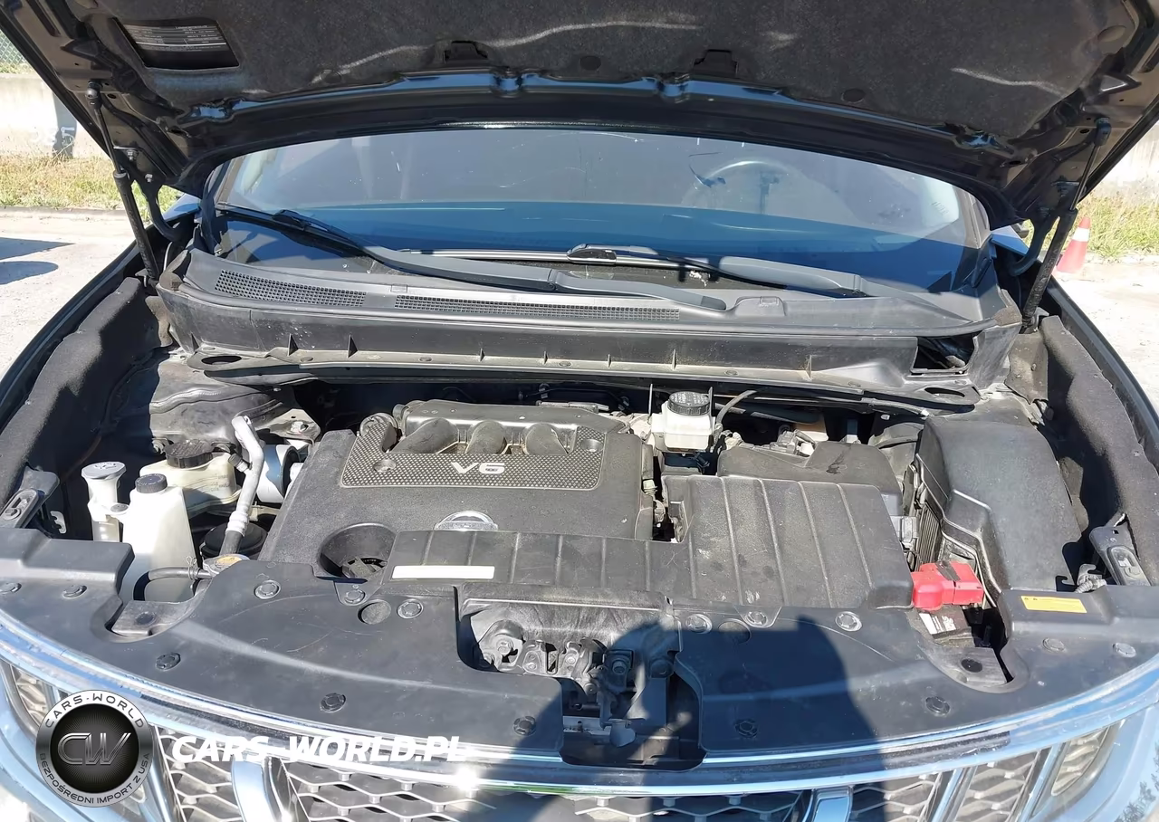 2011 Nissan Murano Le VIN:JN8AZ1MW9BW173261 - 10