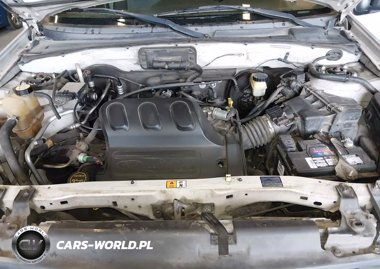 2004 Ford Escape Xlt VIN:1FMCU03174KB66513 - 10