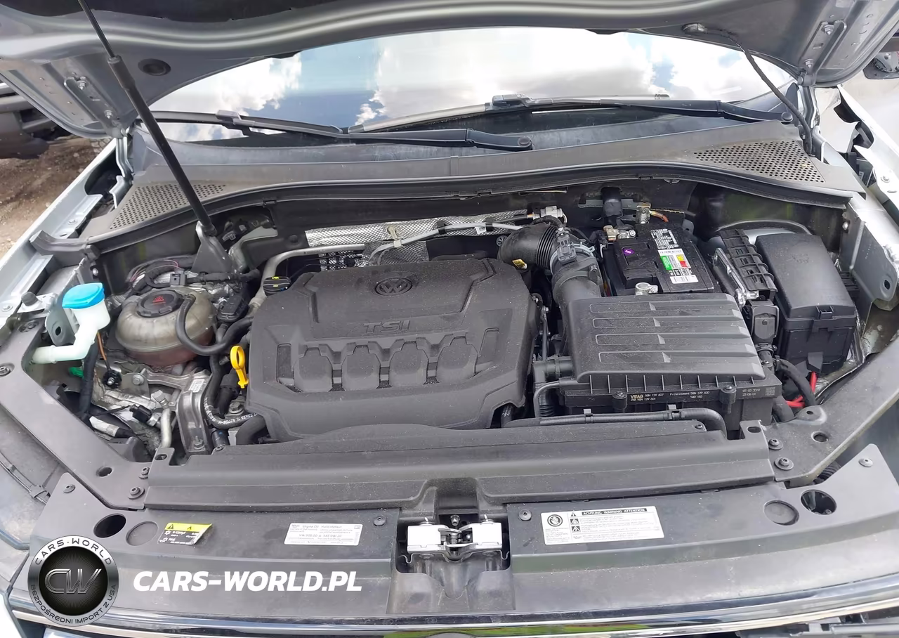 2019 Volkswagen Tiguan 2.0T S VIN:3VV1B7AXXKM114060 - 10