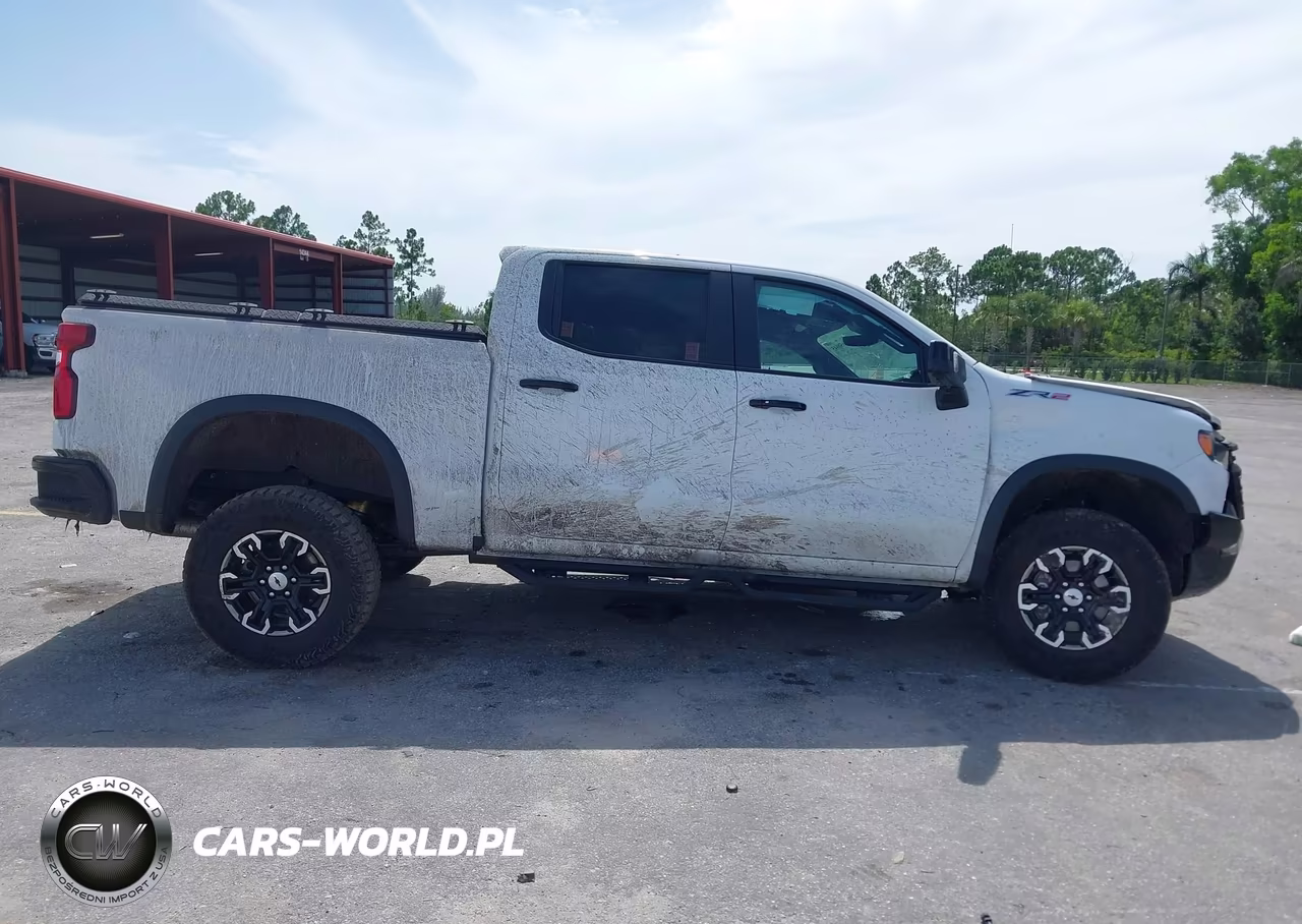 2023 Chevrolet Silverado 1500 4Wd Short Bed Zr2 VIN:3GCUDHEL2PG217028 - 13