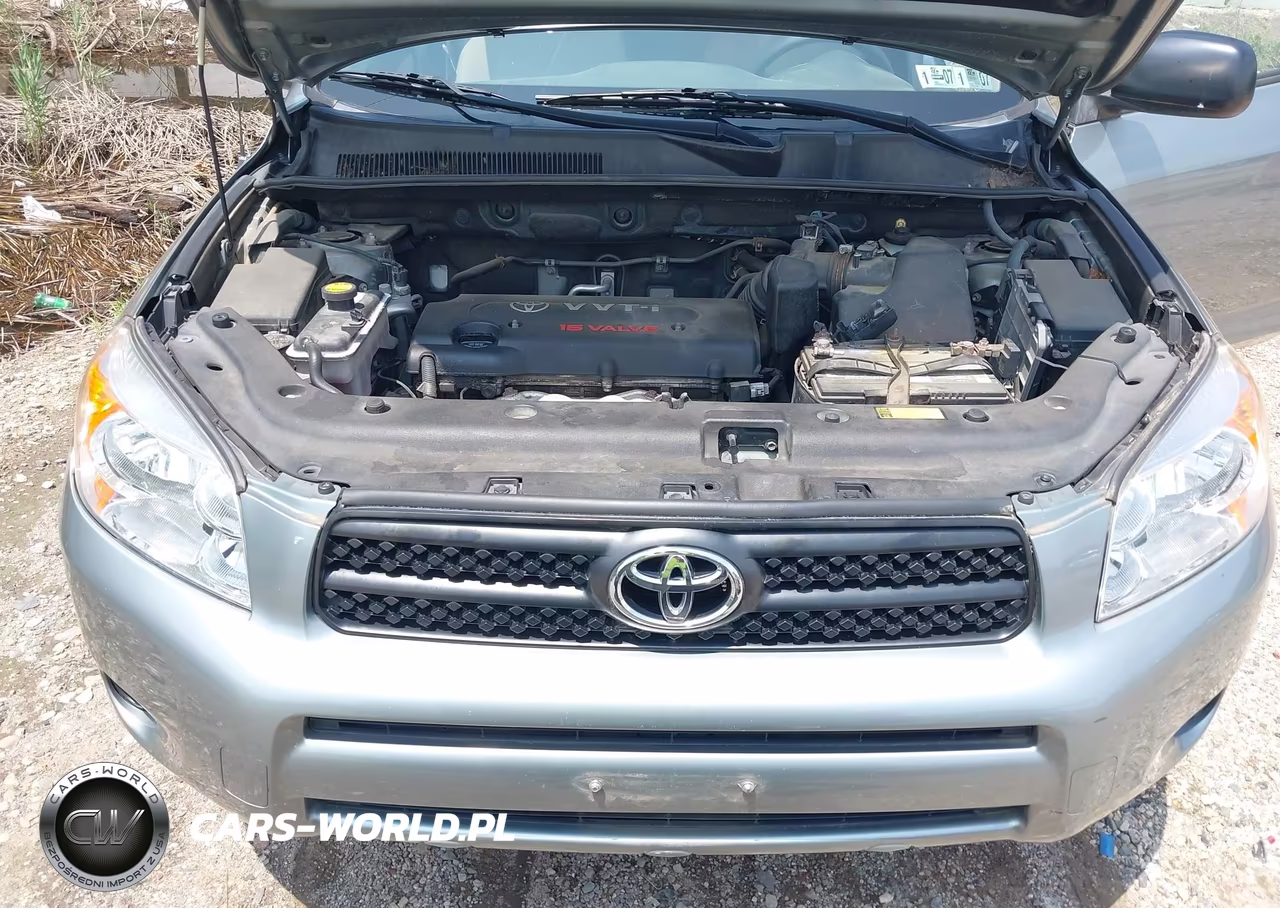 2006 Toyota Rav4 VIN:JTMBD33V465013707 - 10