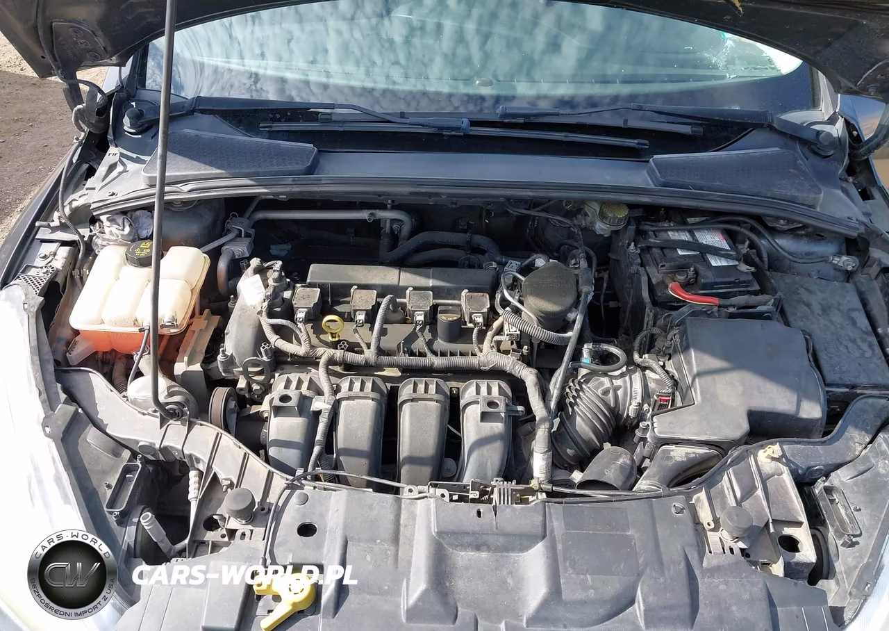 2015 Ford Focus Se VIN:1FADP3K26FL370511 - 10