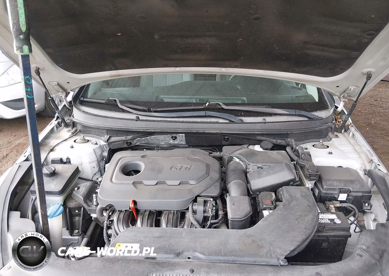 2015 Hyundai Sonata Sport VIN:5NPE34AF1FH049825 - 10