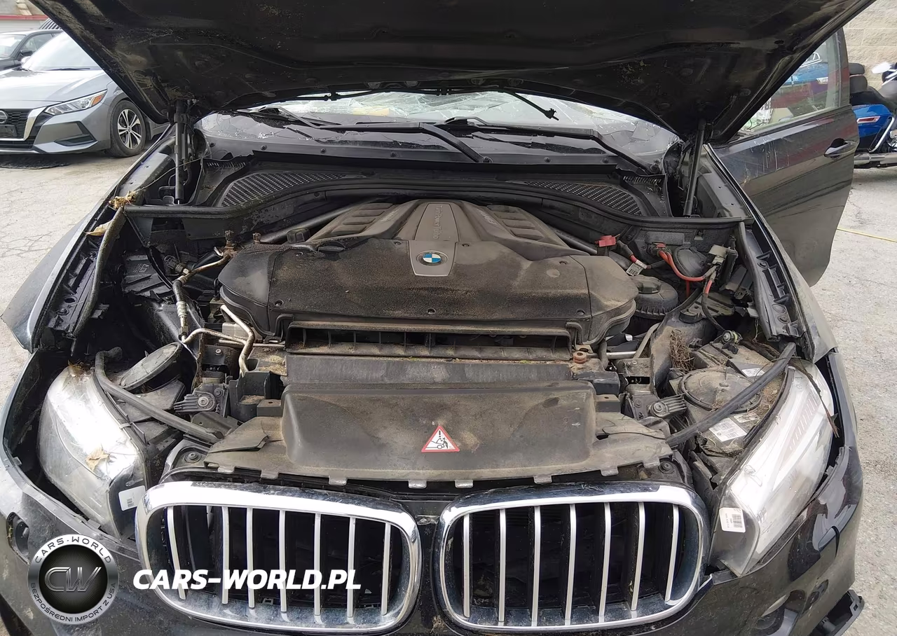 2017 BMW X6 xDrive50I VIN:5UXKU6C38H0S99706 - 10