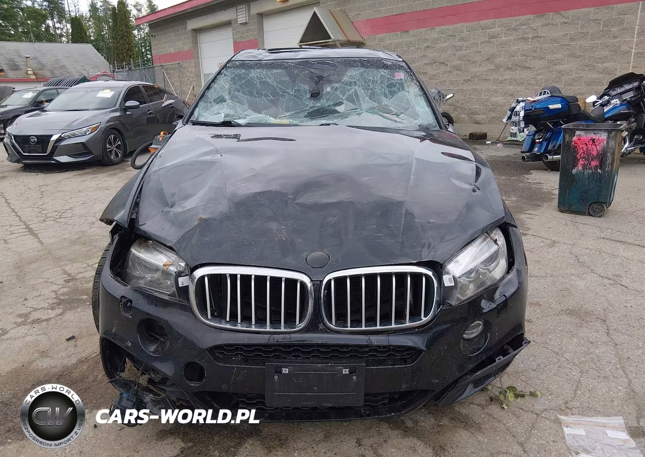 2017 BMW X6 xDrive50I VIN:5UXKU6C38H0S99706 - 11