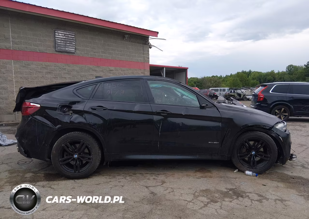 2017 BMW X6 xDrive50I VIN:5UXKU6C38H0S99706 - 12