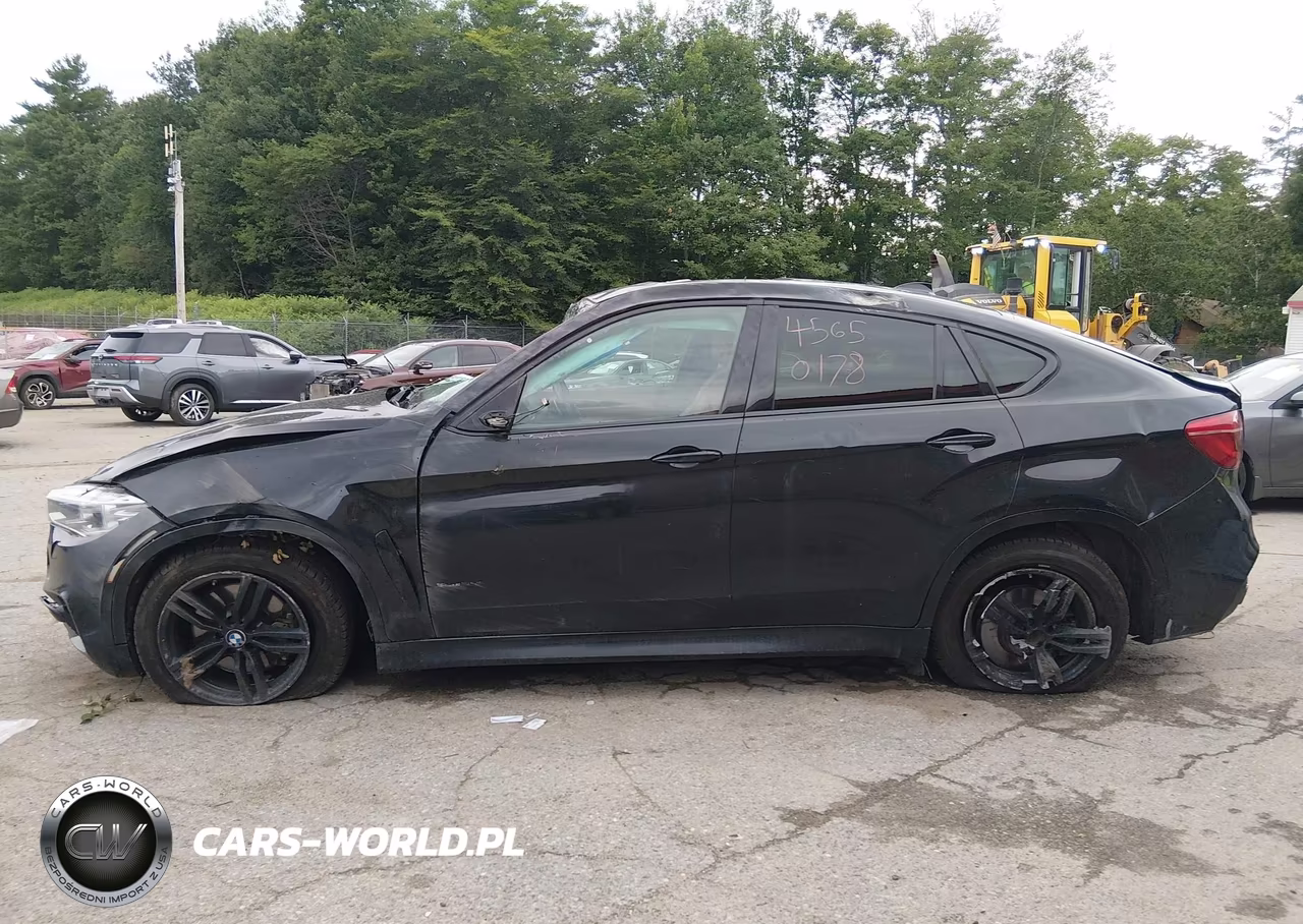 2017 BMW X6 xDrive50I VIN:5UXKU6C38H0S99706 - 13