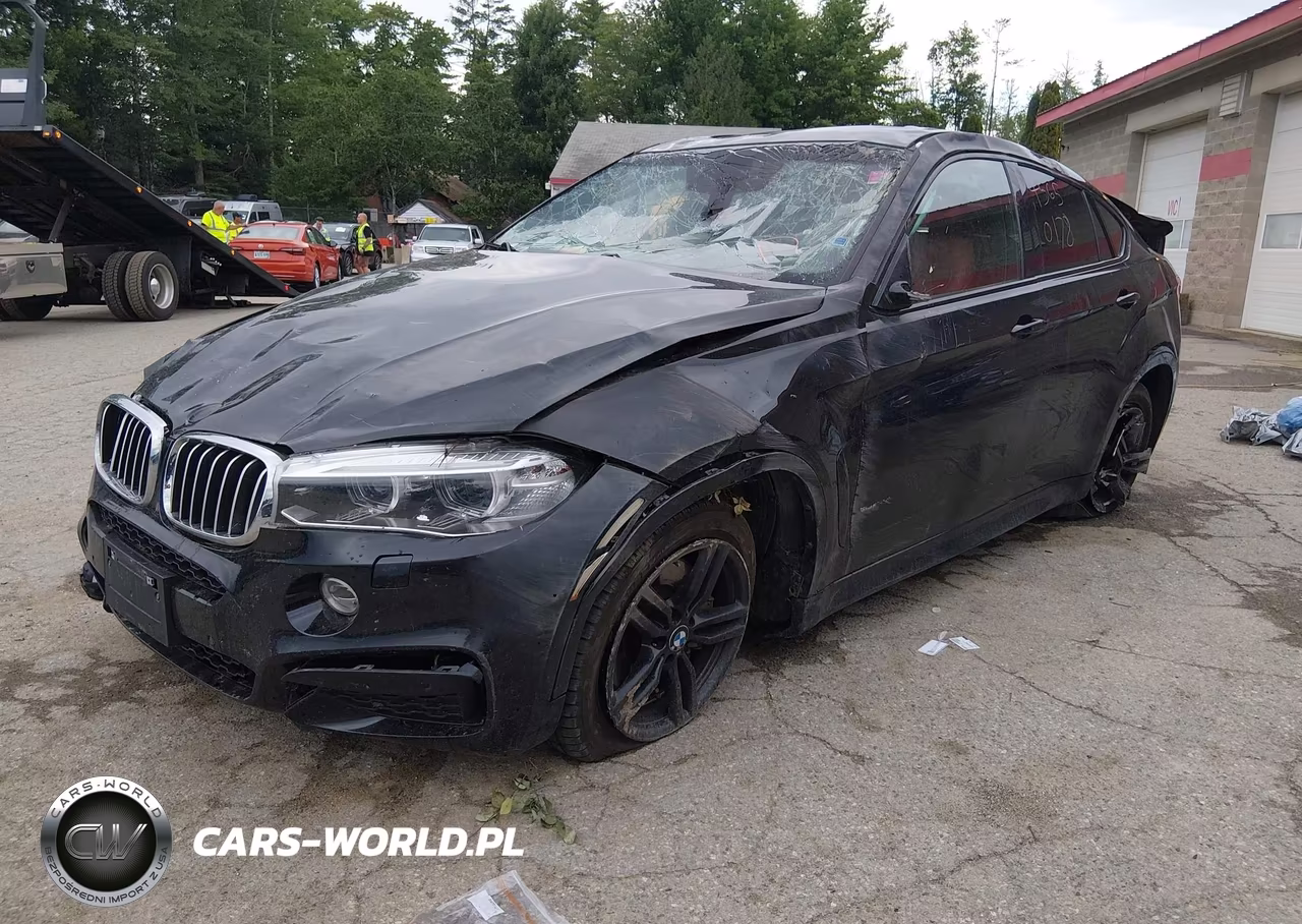 2017 BMW X6 xDrive50I VIN:5UXKU6C38H0S99706 - 2