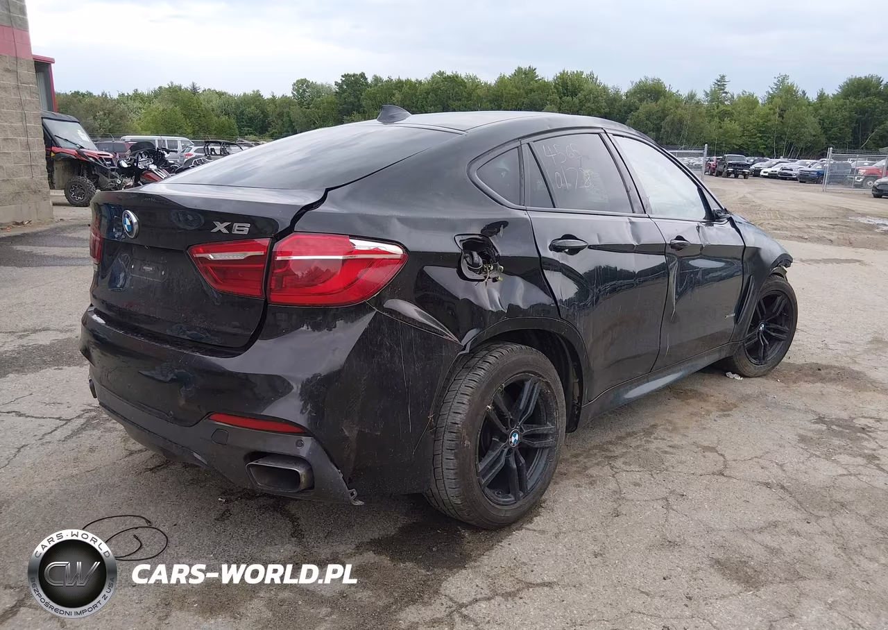 2017 BMW X6 xDrive50I VIN:5UXKU6C38H0S99706 - 4