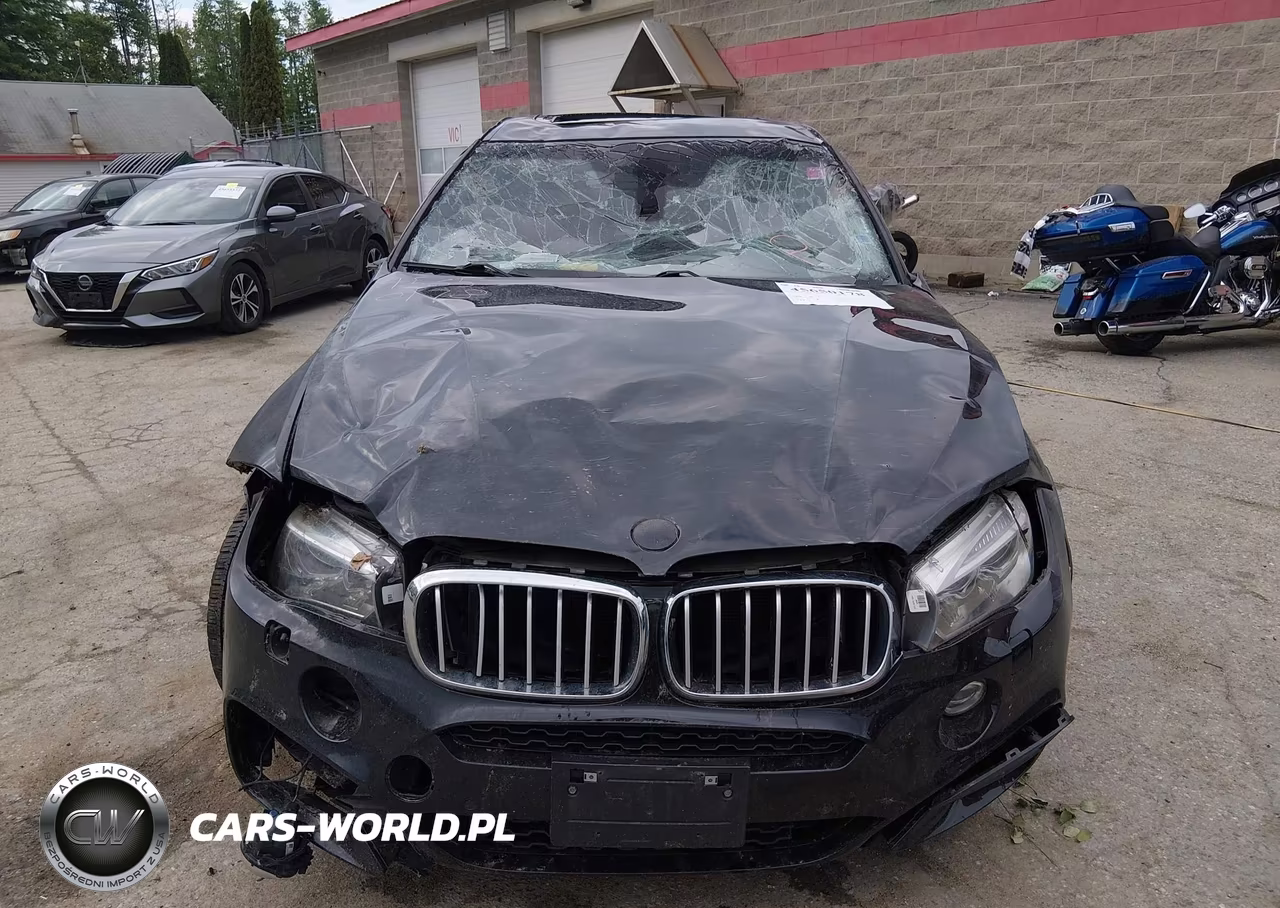 2017 BMW X6 xDrive50I VIN:5UXKU6C38H0S99706 - 6