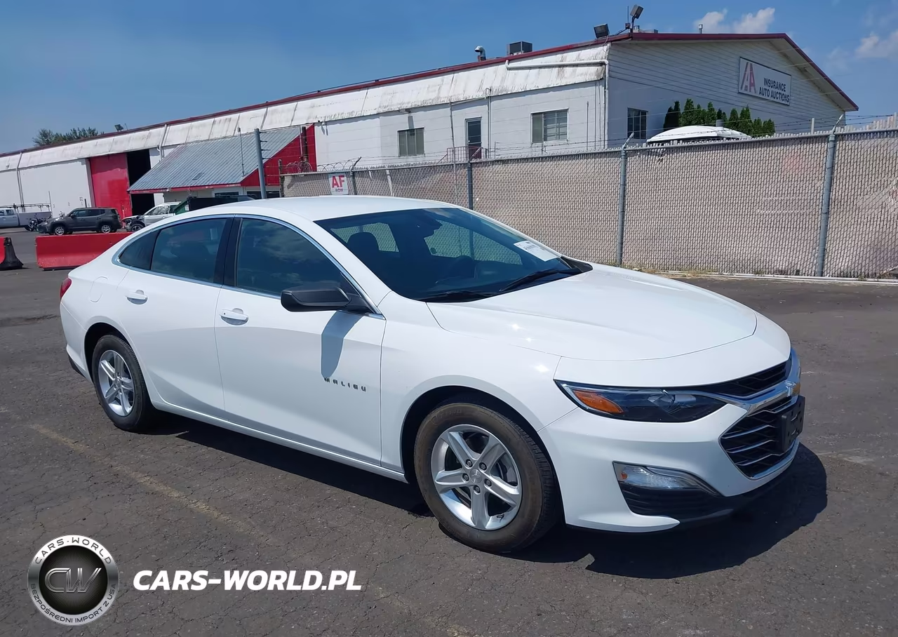 2019 Chevrolet Malibu 1Fl