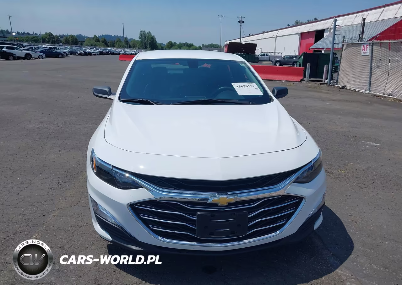 2019 Chevrolet Malibu 1Fl VIN:1G1ZC5ST2KF208117 - 12