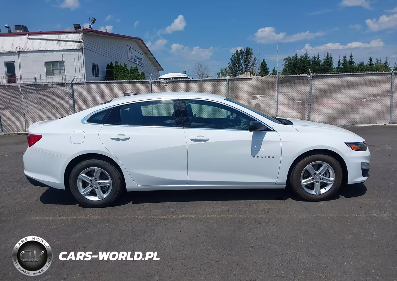 2019 Chevrolet Malibu 1Fl VIN:1G1ZC5ST2KF208117 - 13