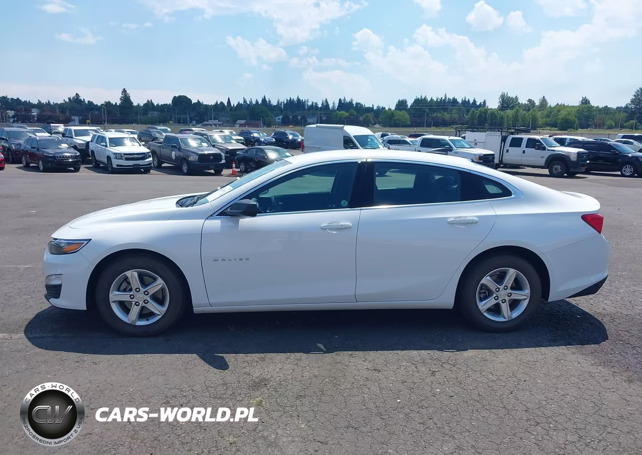 2019 Chevrolet Malibu 1Fl VIN:1G1ZC5ST2KF208117 - 14