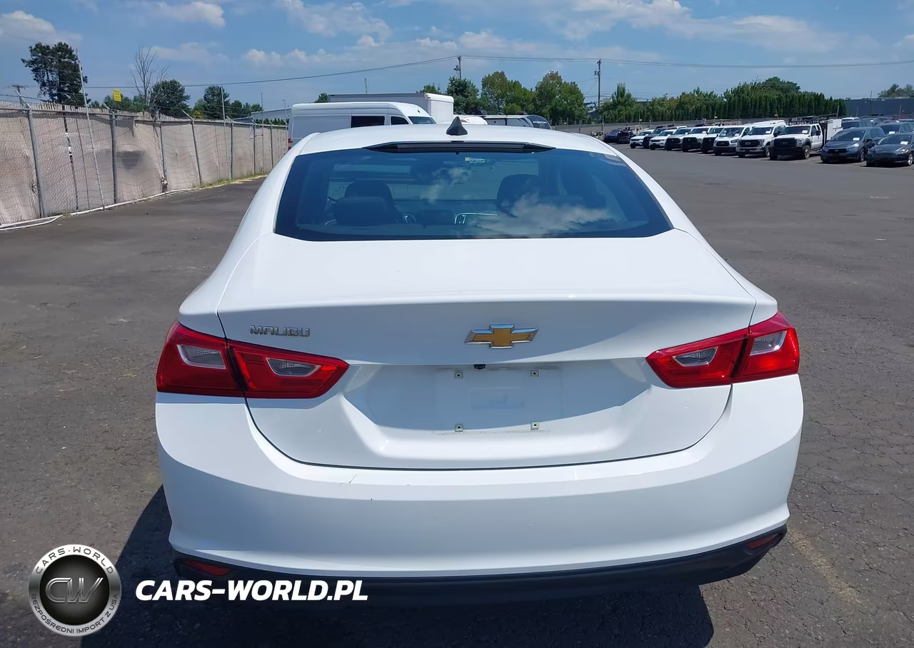 2019 Chevrolet Malibu 1Fl VIN:1G1ZC5ST2KF208117 - 16