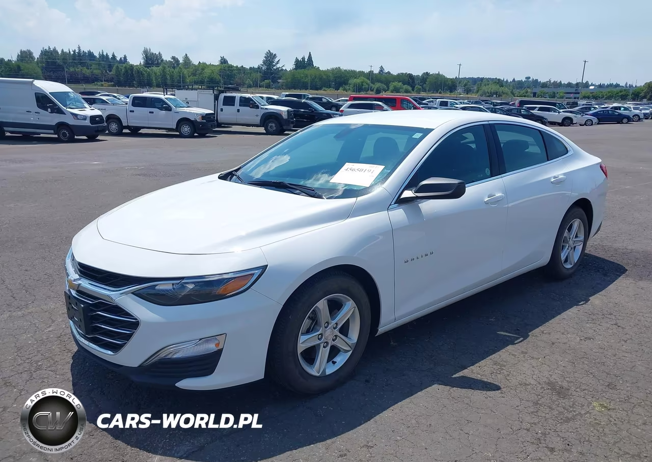 2019 Chevrolet Malibu 1Fl VIN:1G1ZC5ST2KF208117 - 2