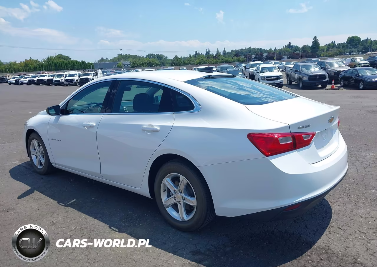 2019 Chevrolet Malibu 1Fl VIN:1G1ZC5ST2KF208117 - 3
