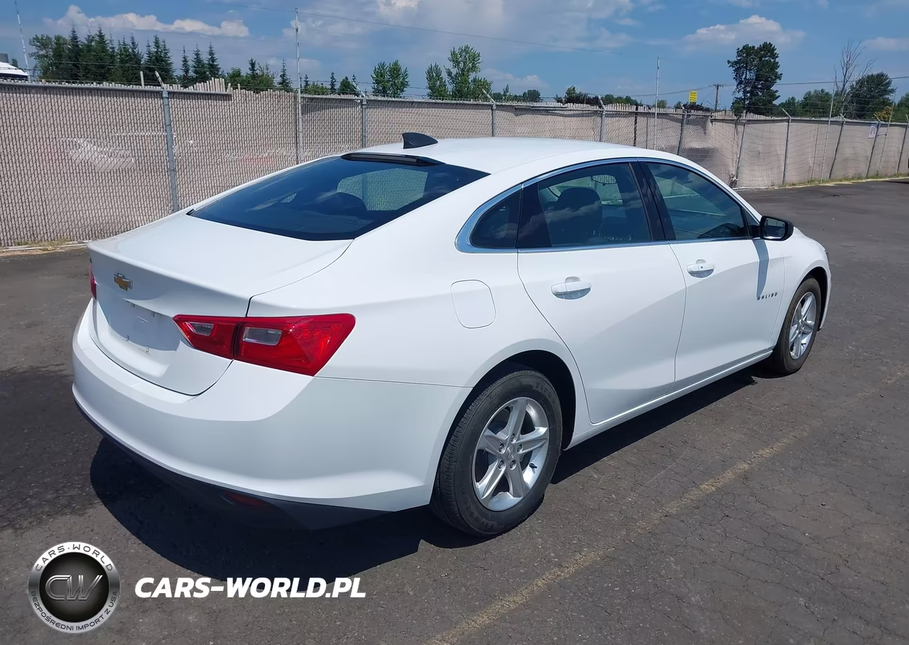 2019 Chevrolet Malibu 1Fl VIN:1G1ZC5ST2KF208117 - 4