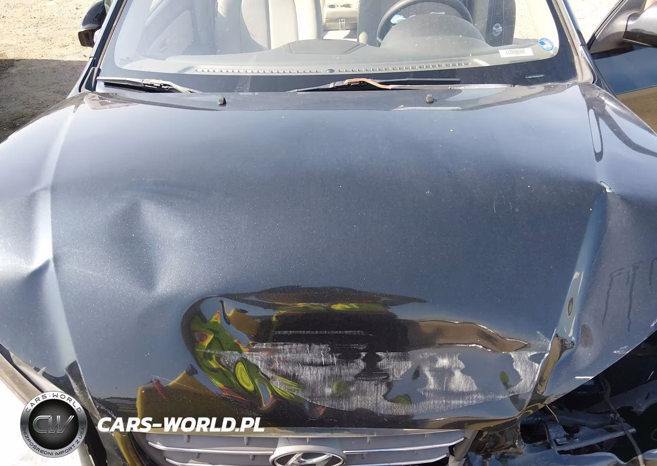 2008 Hyundai Elantra Gls-Se VIN:KMHDU46D68U281499 - 10