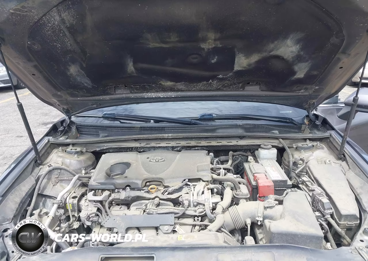 2019 Toyota Camry Le VIN:4T1B11HK3KU205028 - 10