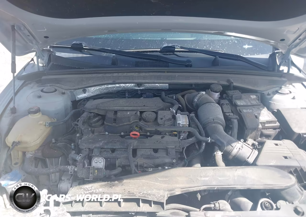 2024 Kia K5 Gt-Line VIN:5XXG64J24RG244329 - 5