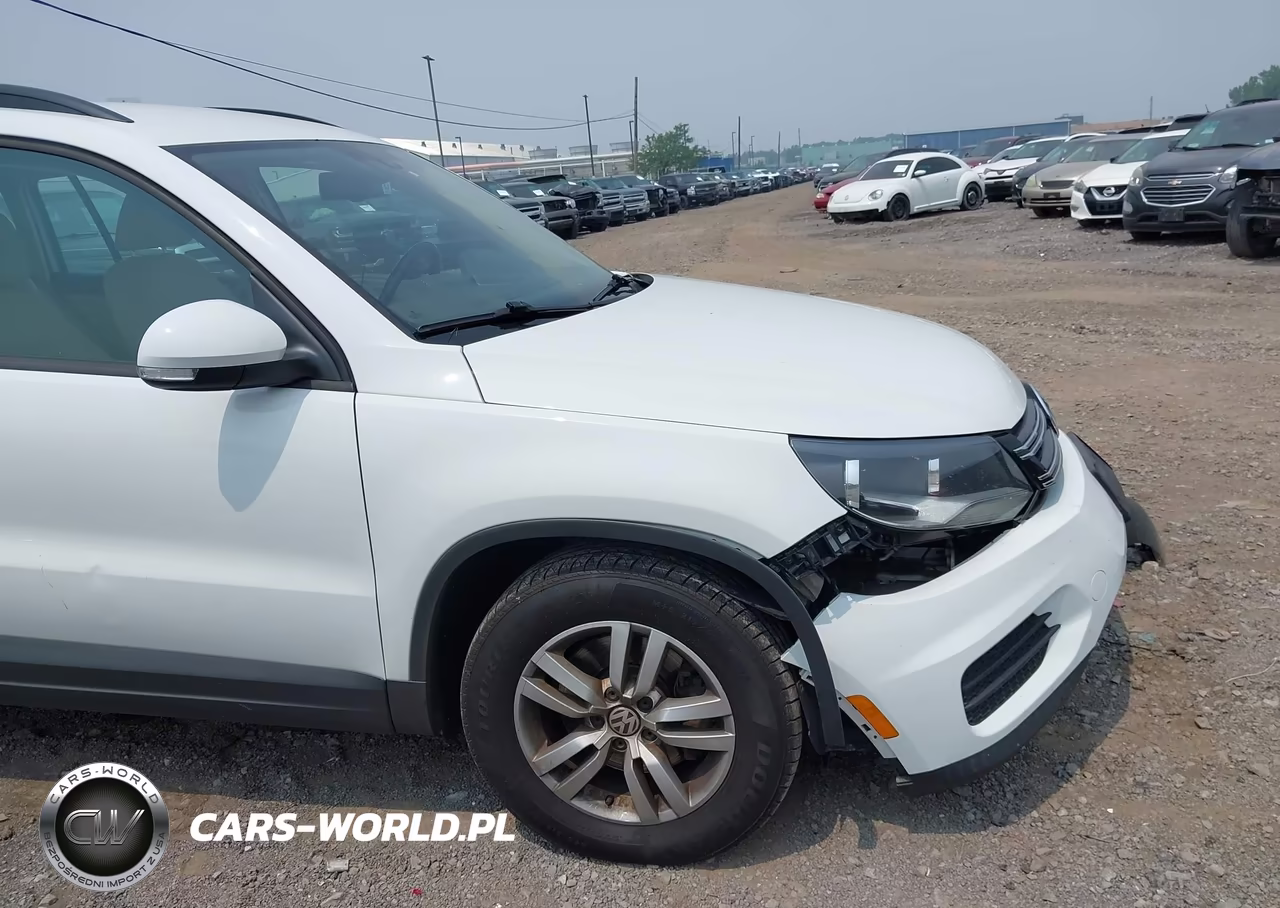 2017 Volkswagen Tiguan 2.0T S VIN:WVGBV7AX1HW503023 - 20