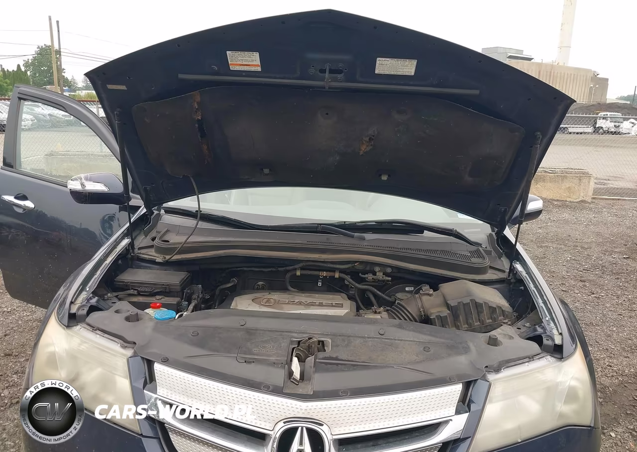 2009 Acura Mdx VIN:2HNYD28239H518180 - 10