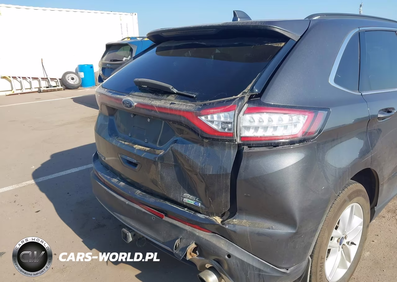 2016 Ford Edge Sel VIN:2FMPK4J91GBC50493 - 6