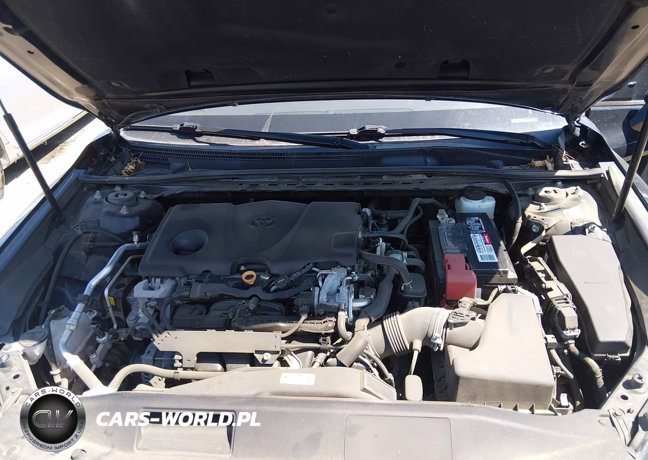 2019 Toyota Camry Xse VIN:4T1B61HK1KU266007 - 10