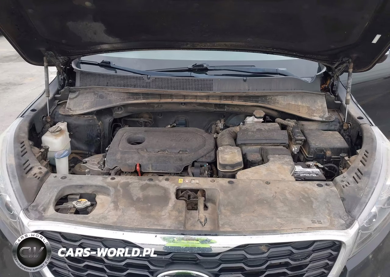 2019 Kia Sorento 2.4L L VIN:5XYPG4A31KG585307 - 10