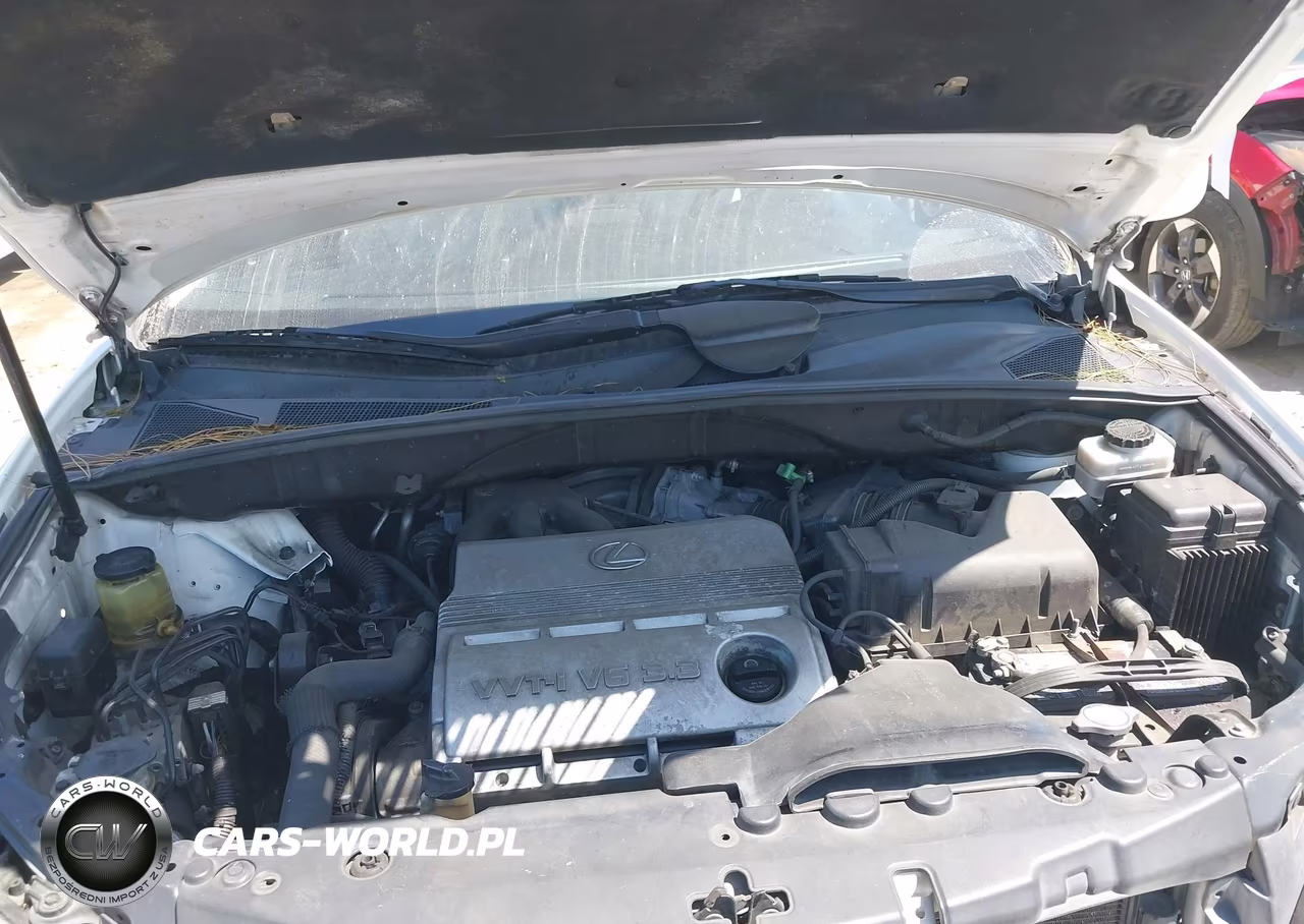 2004 Lexus Rx 330 VIN:2T2HA31U64C020652 - 10