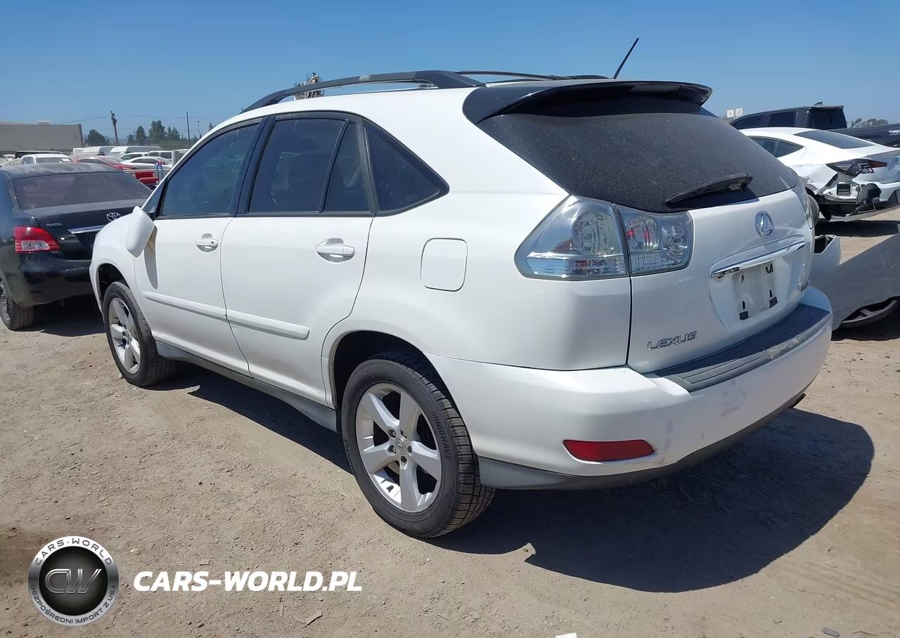 2004 Lexus Rx 330 VIN:2T2HA31U64C020652 - 3