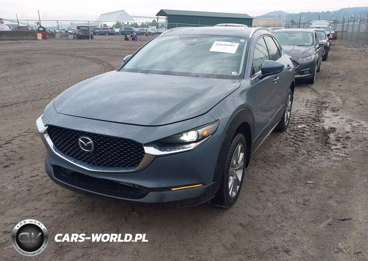 2021 Mazda Cx-30 Premium VIN:3MVDMBDL8MM262226 - 2