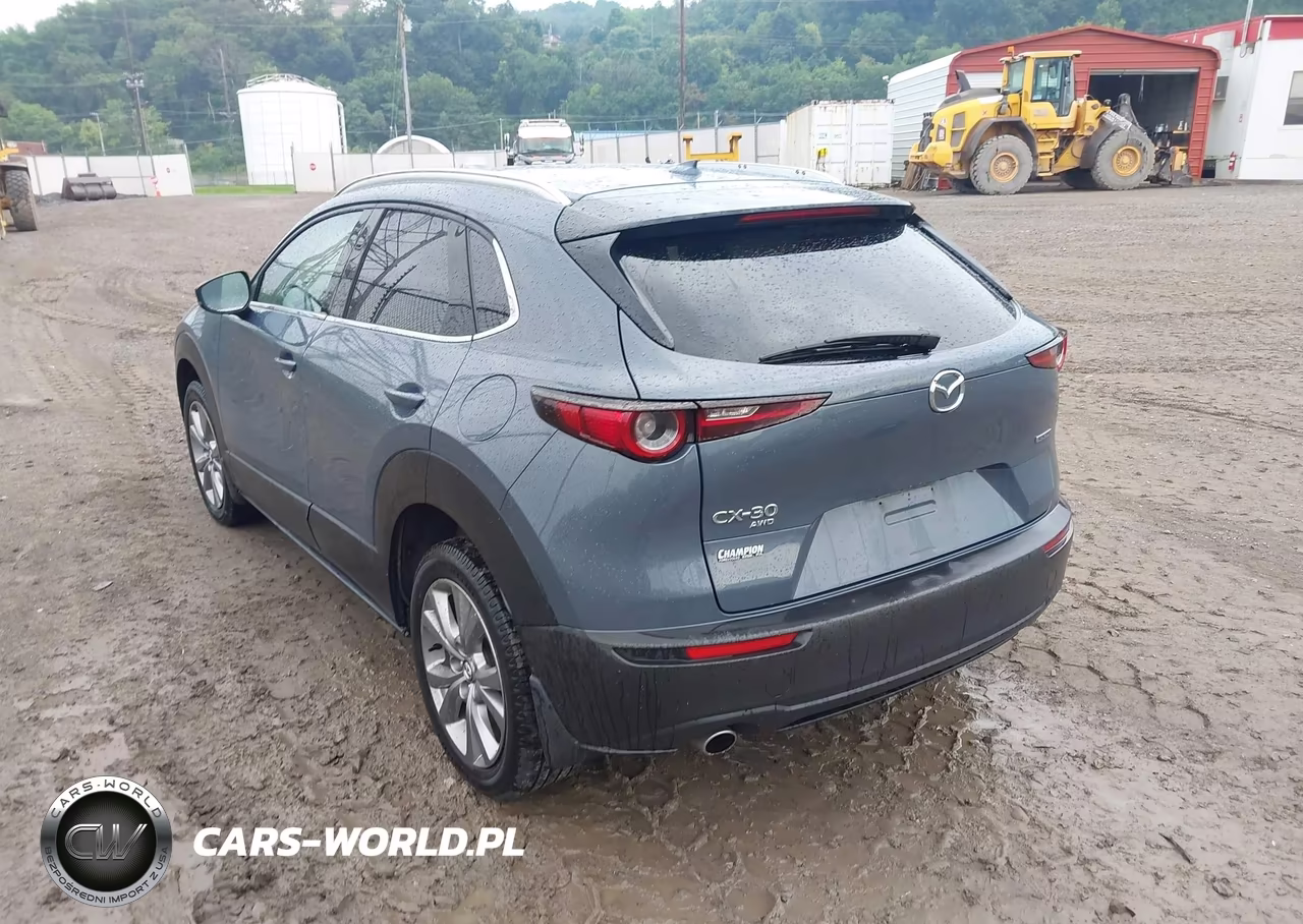2021 Mazda Cx-30 Premium VIN:3MVDMBDL8MM262226 - 3