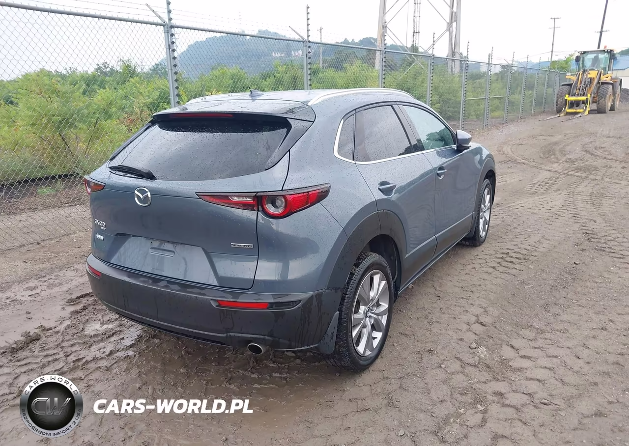 2021 Mazda Cx-30 Premium VIN:3MVDMBDL8MM262226 - 4