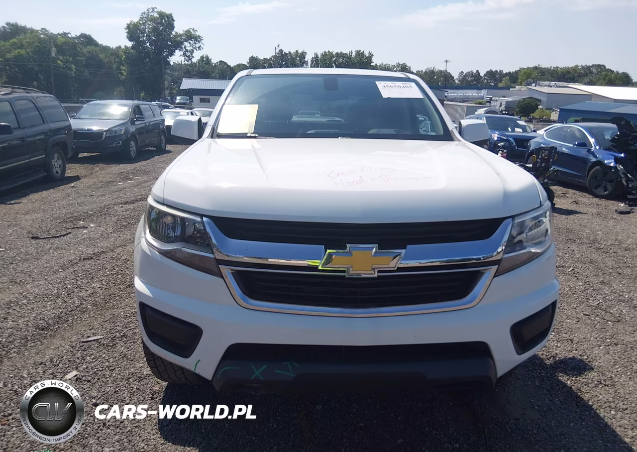 2015 Chevrolet Colorado 2Wd Wt VIN:1GCGSAEA8F1223132 - 12