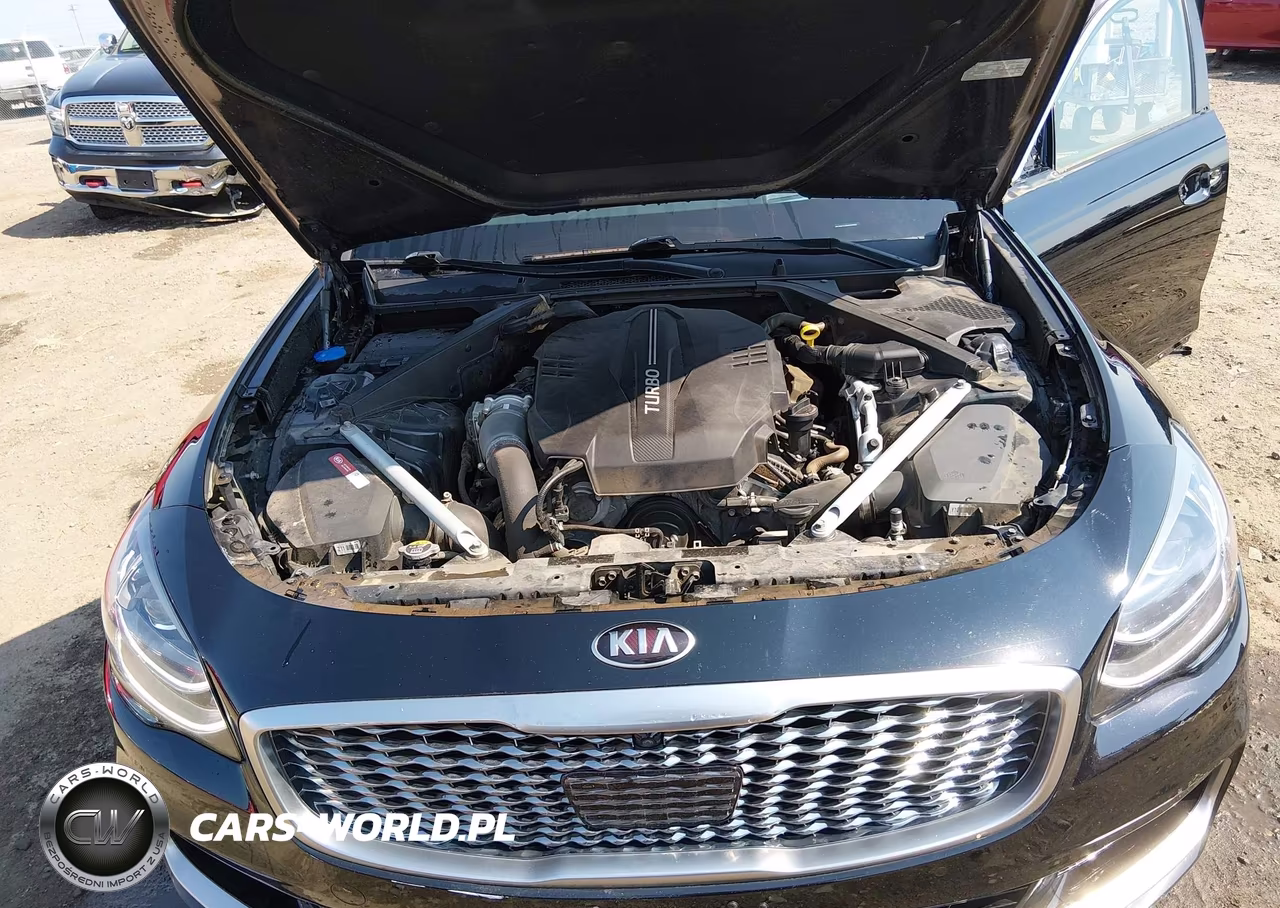 2019 Kia K900 Luxury VIN:KNAS24J62K6009969 - 10