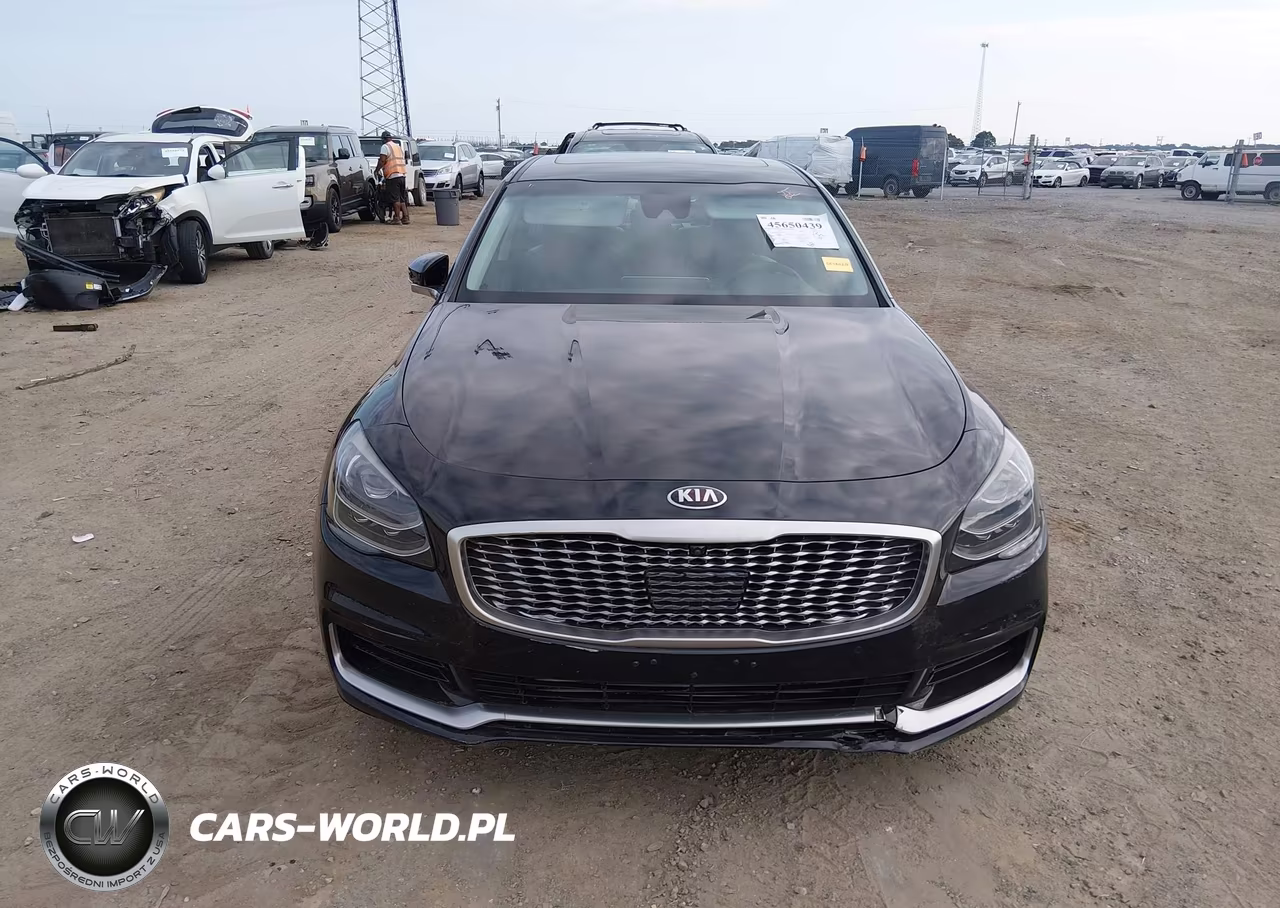 2019 Kia K900 Luxury VIN:KNAS24J62K6009969 - 13