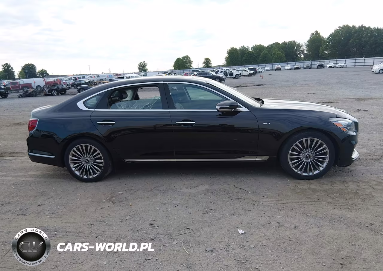 2019 Kia K900 Luxury VIN:KNAS24J62K6009969 - 14