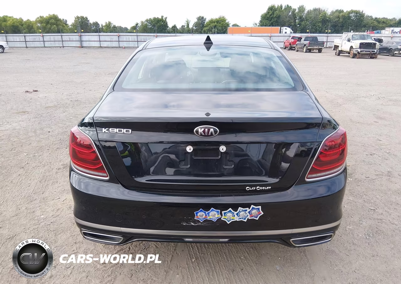 2019 Kia K900 Luxury VIN:KNAS24J62K6009969 - 17