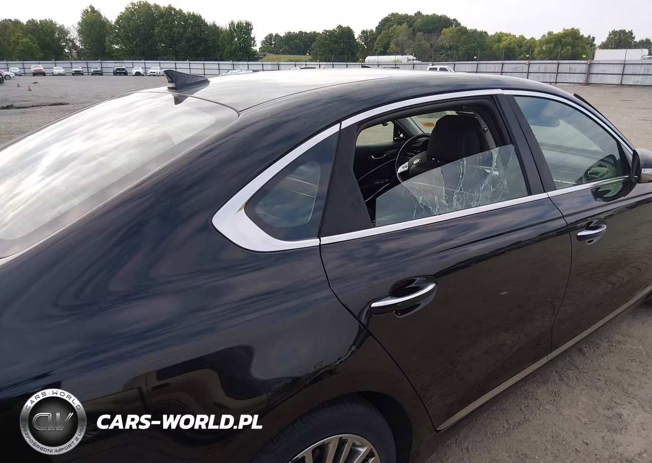 2019 Kia K900 Luxury VIN:KNAS24J62K6009969 - 18