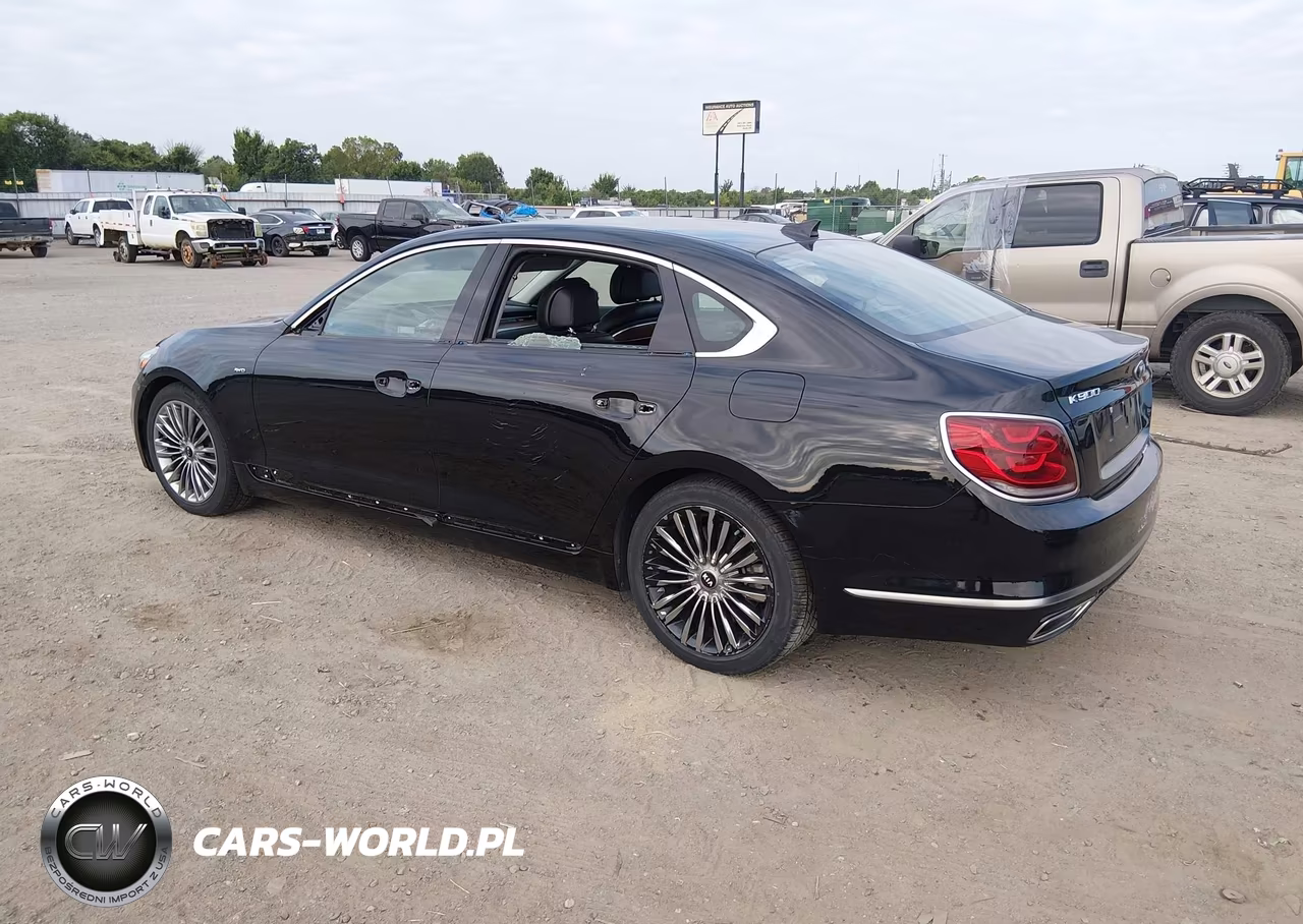 2019 Kia K900 Luxury VIN:KNAS24J62K6009969 - 3