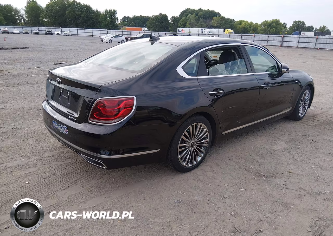 2019 Kia K900 Luxury VIN:KNAS24J62K6009969 - 4
