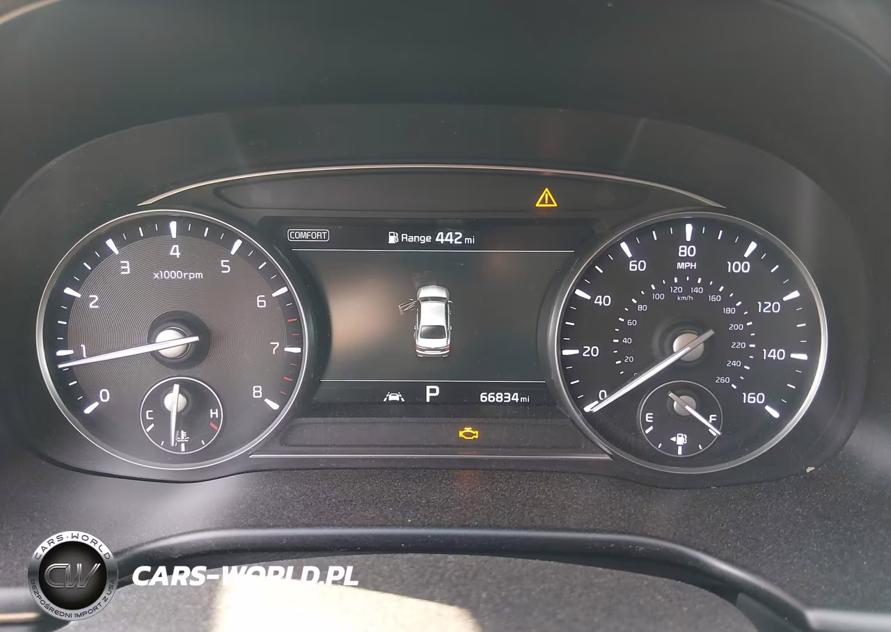 2019 Kia K900 Luxury VIN:KNAS24J62K6009969 - 7
