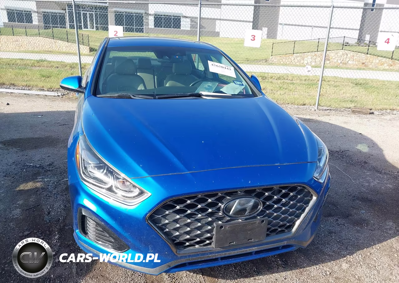 2019 Hyundai Sonata Limited VIN:5NPE34AF3KH784123 - 12